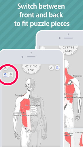 E. Learning Muscles Puzzle