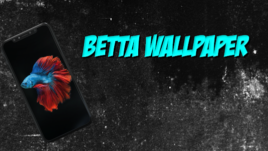 Betta Wallpapers