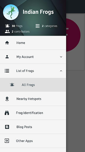 Indian Frogs Screen 3