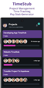 TimeStub: Project Management