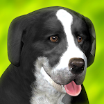 Cover Image of Download Dog Run 1.1.3 APK
