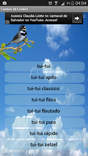 Canto de Coleiro For PC 2