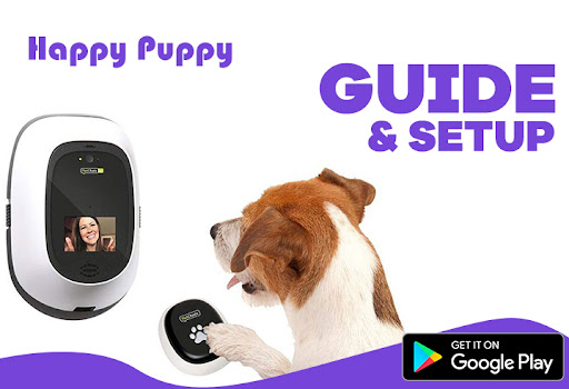 Petcube Camera Setup Guide