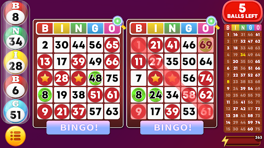 Bingo Classic Game – Offline 1