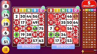 Game screenshot Bingo - Offline Bingo Games hack