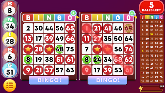 Bingo Classic - Offline Game