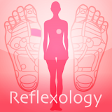 Reflexology chart icon