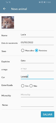 Visualização do aplicativo