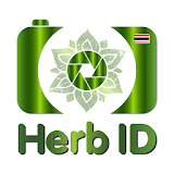 Herb ID icon