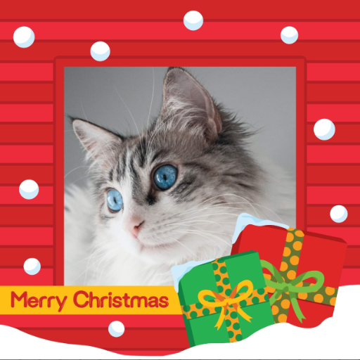 Christmas Photo Frame logo