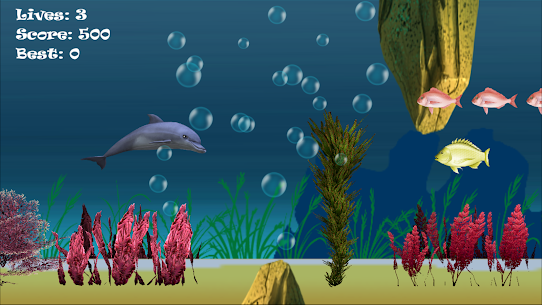 Delphin Abenteuerspiele App Herunterladen 4