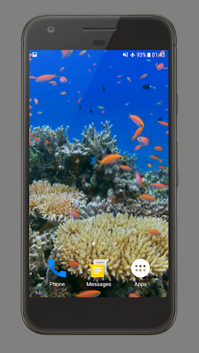 Sea Life Theme Video Wallpaper Screen 2