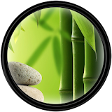 Bamboo [HD] Wallpapers icon