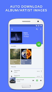 Pulsar Music Player MOD APK (Pro débloqué) 4