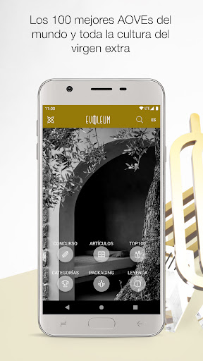 Vista previa de la aplicación