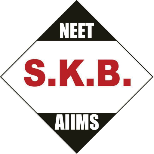 SKB logo