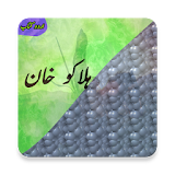 Halakuu Khan (Urdu Book) icon