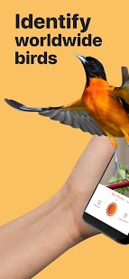 Picture Bird - Bird Identifier Screenshot