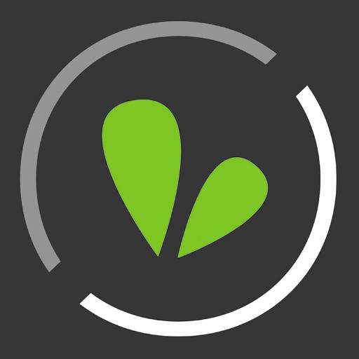 Leovida Home Cleaning Services logo