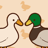 アヒルかも？  Duck or Duck icon