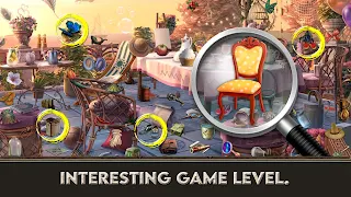 Hidden Object: Baffling - Screenshot 2