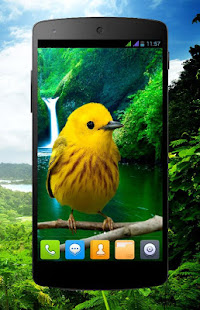 3D birds parallax live wallpaper