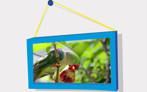 Picture Puzzle: Birds Screen 3