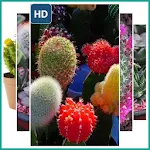 Cover Image of 下载 Cactus Plant Wallpaper 1.0 APK