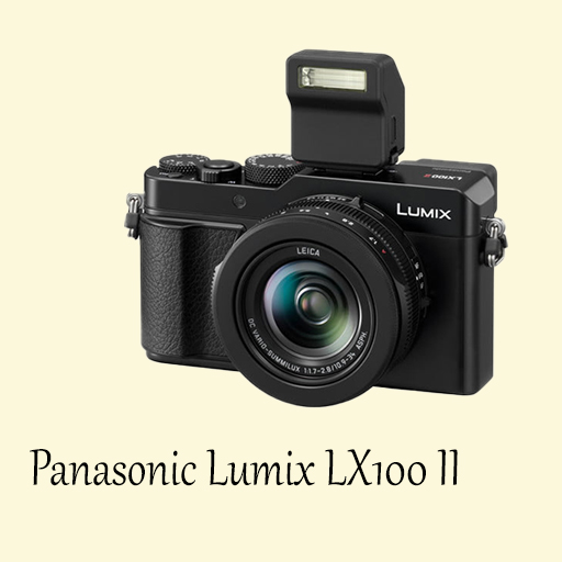 Panasonic Lumix LX100 II guide logo