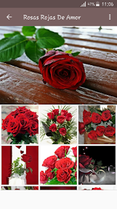 Rosas Rojas De Amor