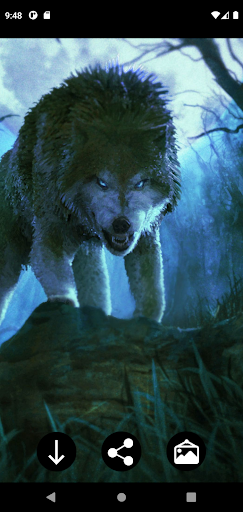 Predatory Animal Wallpapers Screen 3