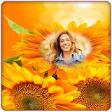 Sunflower Photo Frames icon