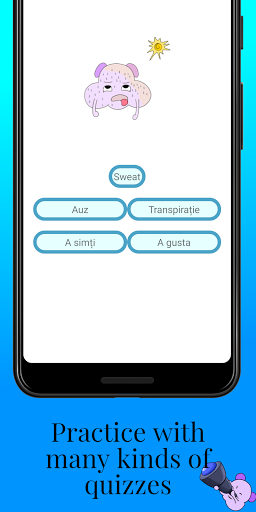 MTL Learn Romanian Words Screen 3