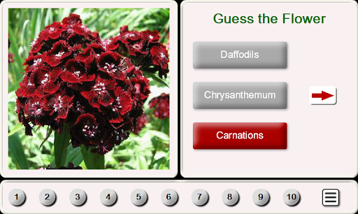 Android application Guess the Flower: Tile Puzzles screenshort