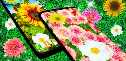 HD Summer Live Wallpaper cover