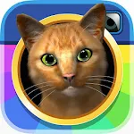 InstaKitty 3D-Virtual Cat Sim Apk