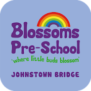 Blossoms P.S. Johnstown Bridge