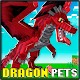 Mod Dragon Craft : MCPE Pet