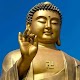 Gautam Buddha Photos Download on Windows