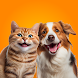 Pet Together: Play With Pets - Androidアプリ
