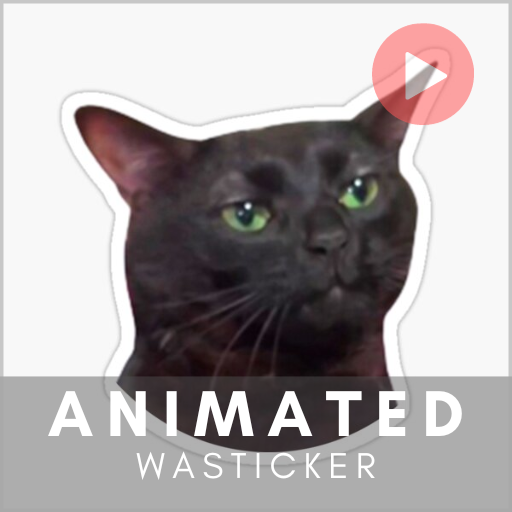 Cats Memes Animated Stickers