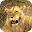 Animals of Africa Video LWP Download on Windows