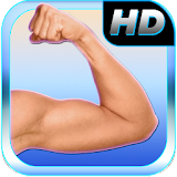 Best Arm Fitness: Bicep, Tricep Upper Body Workout icon