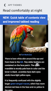 Wikipedia Beta 2.7.50484 Apk 1