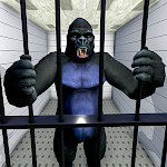 Cover Image of Download Gorilla Smash City Escape Jail  APK