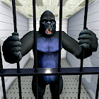 Gorilla Smash City Escape Jail 3.6