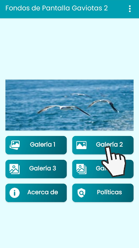 Fondos de Pantalla Gaviotas 2. Screen 3