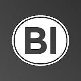 BI Group Partners icon