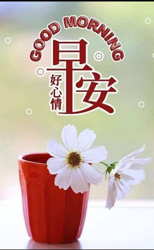 Android application 早上好 GIF 2025 screenshort