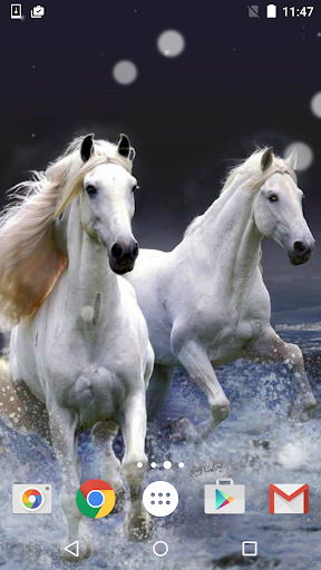 Horses Live Wallpaper HD - Apps on Google Play
